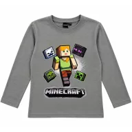   Minecraft Alex Adventure Grey dječja majica s dugim rukavima, gornji dio 6 godina / 116 cm