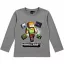 Minecraft Alex Adventure Grey dječja majica s dugim rukavima, gornji dio 6 godina / 116 cm