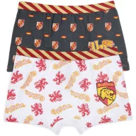   Harry Potter Lion dječje bokserice 2 komada/paket 6 - 8 godina / 116 - 128 cm