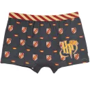 Harry Potter Lion dječje bokserice 2 komada/paket 6 - 8 godina / 116 - 128 cm
