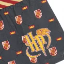 Harry Potter Lion dječje bokserice 2 komada/paket 6 - 8 godina / 116 - 128 cm