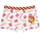 Harry Potter Lion dječje bokserice 2 komada/čop 8 - 10 godina / 128 - 140 cm