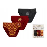   Harry Potter Gryffindor dječje donje rublje, gaćice 3 kom/paket 2 - 3 godine / 92 - 98 cm