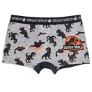 Jurassic World Danger Green dječje bokserice 2 komada/paket 2 - 3 godine / 92 - 98 cm