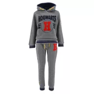   Harry Potter Grey Hogwarts dječja trenirka, jogging set 6 godina / 116 cm