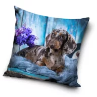 Psi Dachshund navlaka za jastuk 40x40 cm