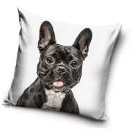 Psi Black Bulldog jastučnica 40x40 cm