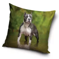Psi Amstaff jastučnica 40x40 cm