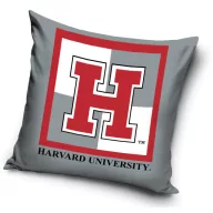 Harvard Univercity jastučnica 40x40 cm