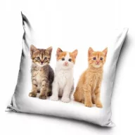 Mačkasto Squad jastučnica 40x40 cm