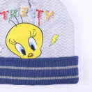 Looney Tunes Tweety dječji set kapa + rukavice