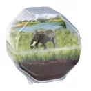 Životinje Elephant Mini terarij Clementoni