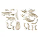 Dinosaurusi Archeo Fun Svjetleći arheološki set Clementoni