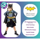 Batman Shadow Princess Batgirl kostim 3-4 godine