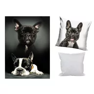   Psi flis-deka, jastučnica i jastučni komplet 3 komada (Bulldog Moments)