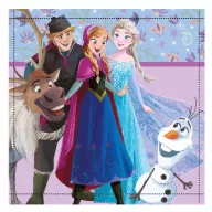   Disney Snježno kraljevstvo Friends Forever ručnik za ruke i lice 30x30cm