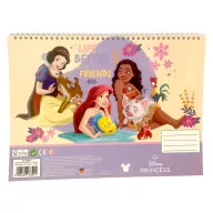   Disney Princeze Life Bilježnica sa spiralom A4, 40 listova, sa naljepnicama