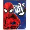 Spider-Man Web Head Mapa s gumicom A/4