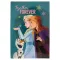 Disney Snježno kraljevstvo Together B/5 linijski notes s 40 stranica
