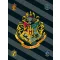 Harry Potter Crest polar deka 100x150cm
