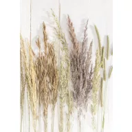 Leptir Golden Harvest Priroda A/4 mapa s gumicom