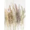 Leptir Golden Harvest Priroda A/4 mapa s gumicom