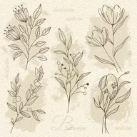 Cvijet Beige Illustration salveta 20 kom 33x33 cm
