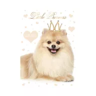 Psi Little Princess A/4 mapa s gumicom