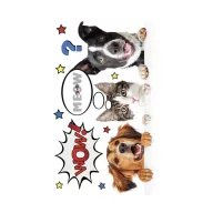 Životinje Furry Friends A/4 mapa s gumom