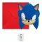 Sonic the Hedgehog Sega pozivnica za zabavu 6 komada FSC